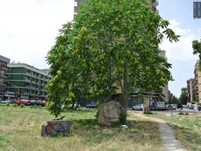 Si tratta di calchi di figure umane �abbandonate� in quell�area da quasi un anno e ritornate alla luce recentemente dopo che � stata falciata l�alta erba che le nascondeva